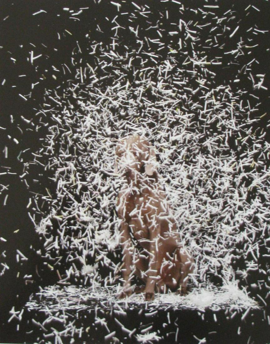 William Wegman "Blizzard - 2003" Signed Limited Edition (1 of 3)