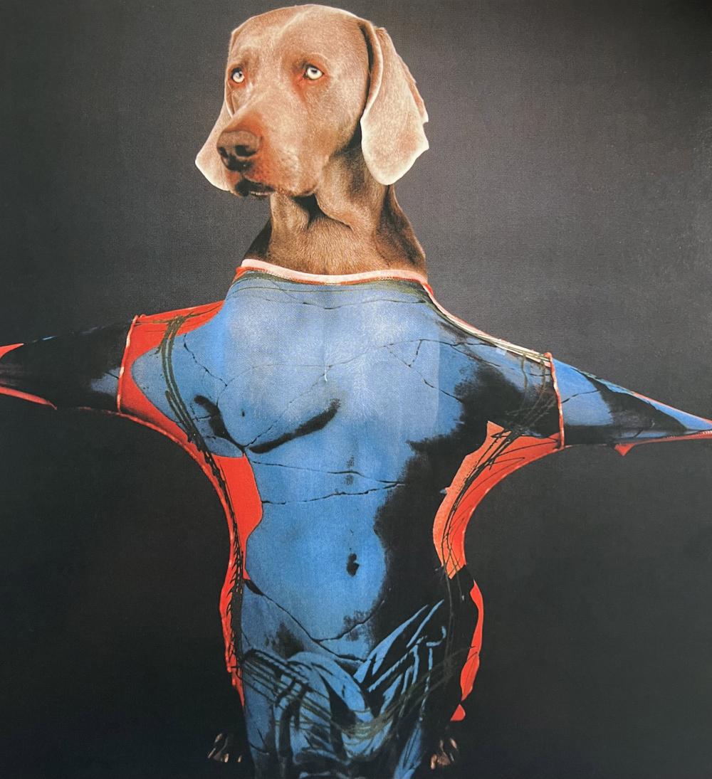 William Wegman, Torso Or So, 1999: Photographer: William Wegman Subject/Title: Torso Or So, 1999 Date Of Negative: 1999 Type Of Print: Photogravure Date Of Print: 2010 Print/Platemaker: Abrams Inc. Approximate Image Size: 7.5 x 7 inche