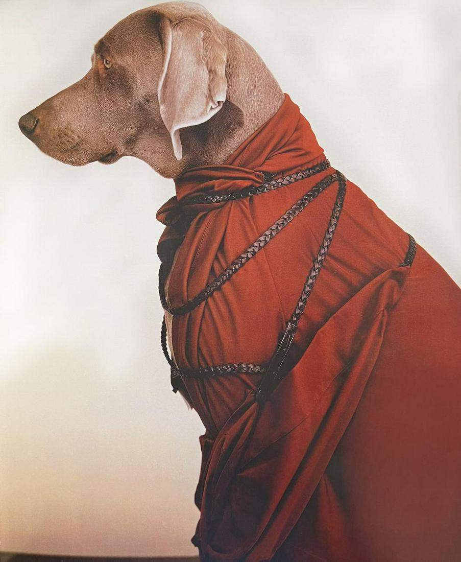 William Wegman, Dressage, 1999 (1 of 1)