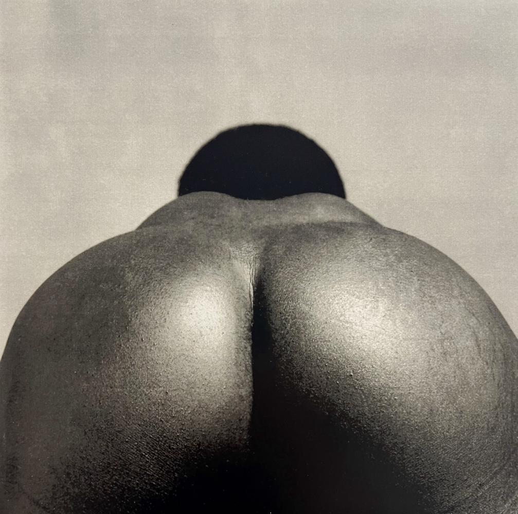 Robert Mapplethorpe, Ajitto, 1981 (1 of 1)