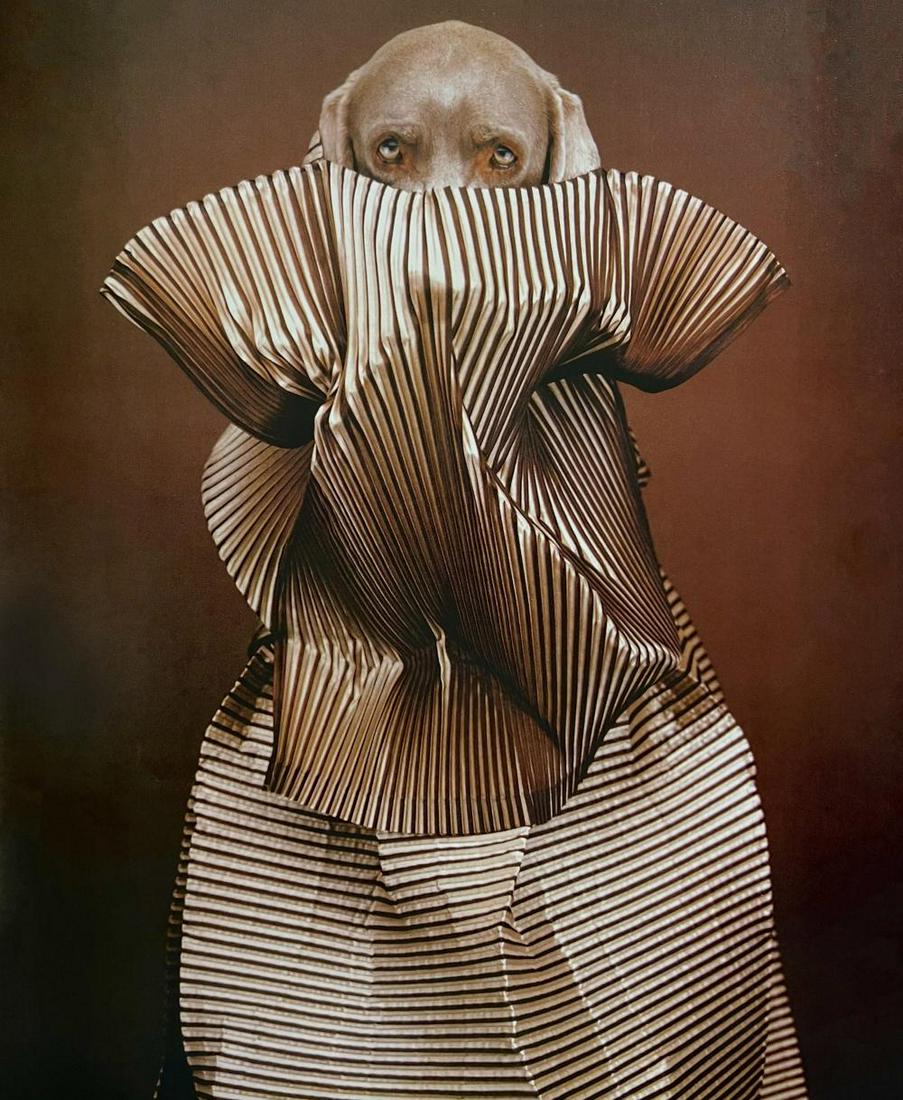 William Wegman, Evolution Of A Bottle In Space, 1999 (1 of 1)