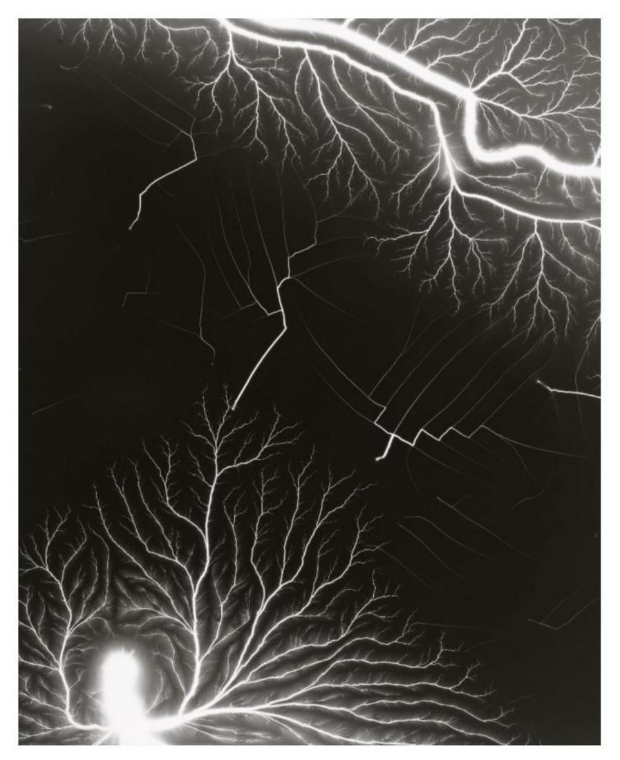 Hiroshi Sugimoto, Lightning Fields-203, 2009, Limited edition: Photographer: Hiroshi Sugimoto is a contemporary Japanese photographer whose esoteric practice explores memory and time. Using the intrinsic quality of long exposure photography, the artist provides i