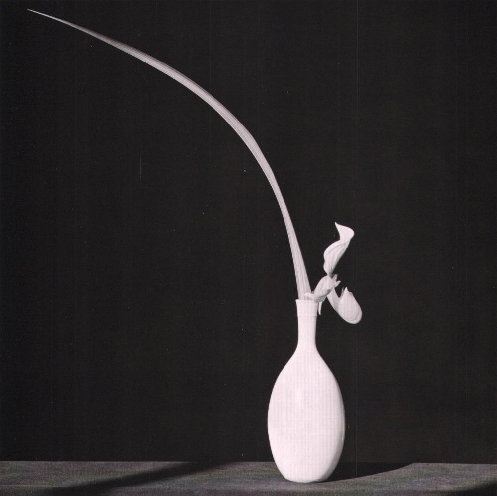 ROBERT MAPPLETHORPE- Orchid and Leaf in White Vase 1982 (1 of 1)