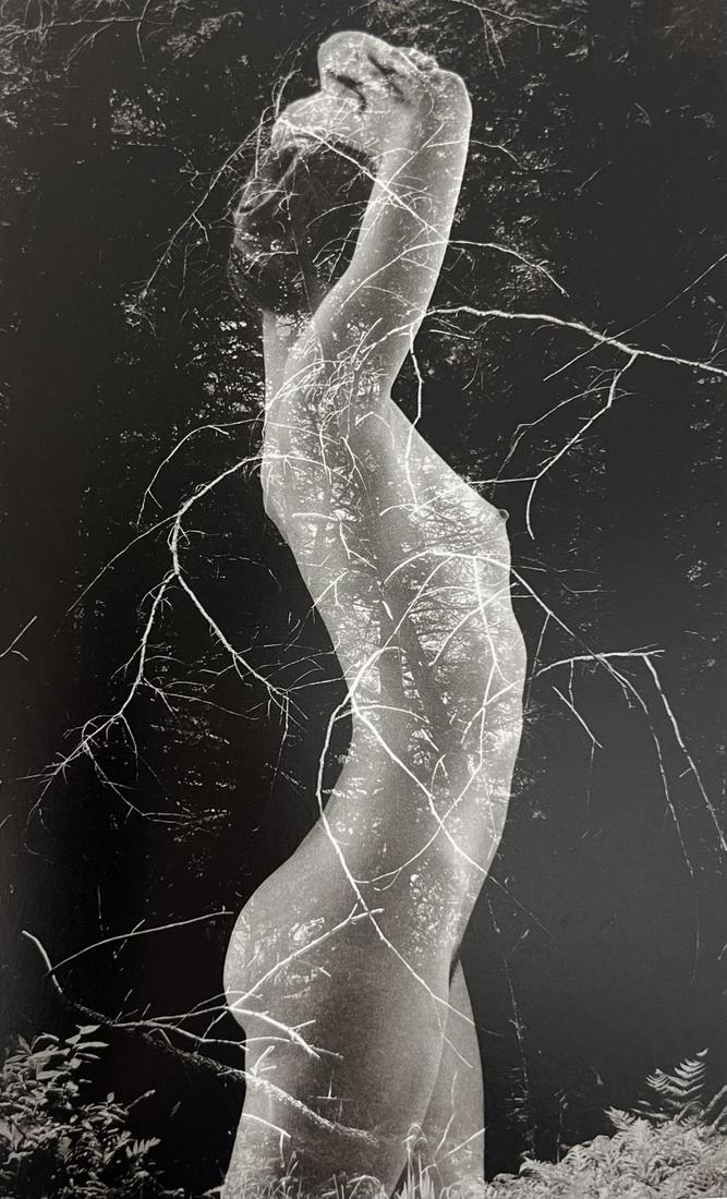 Ruth Bernhard, Symbiosis, 1971 (1 of 1)