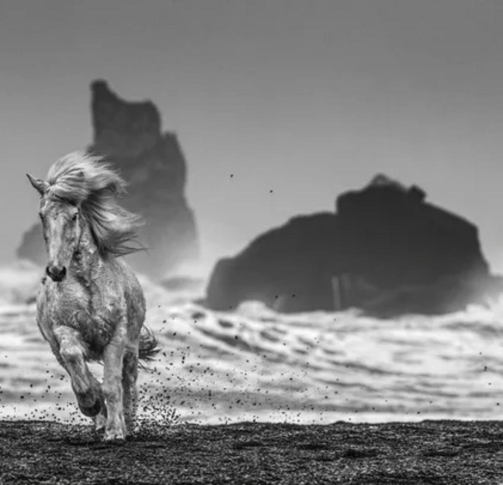 David Yarrow, White Horses, 2018 (1 of 1)