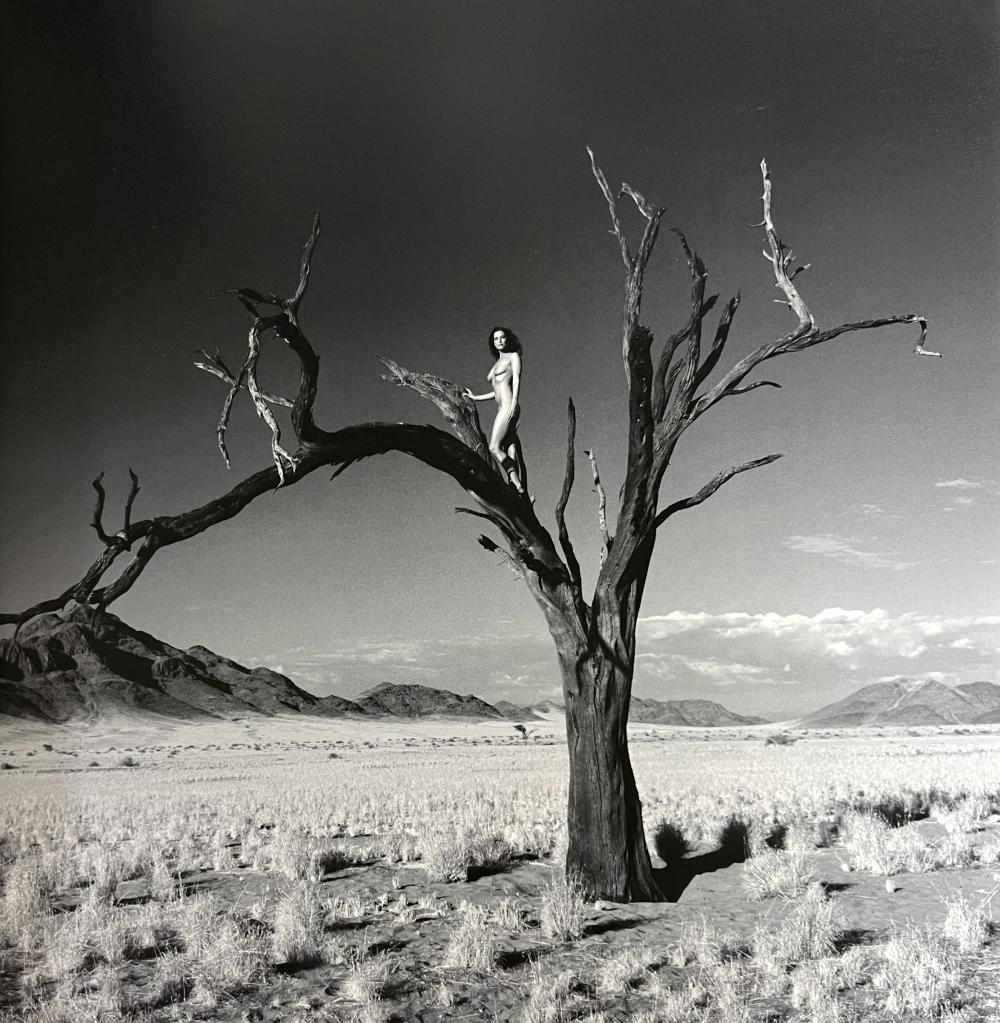 Marc Lagrange, Namib Tree, 2006: Photographer: Marc Lagrange was a Belgian photographer known for his nude portraits of female figures. Lagrange created dream-like and fantastical narrative pictures populated by beautiful nudes that