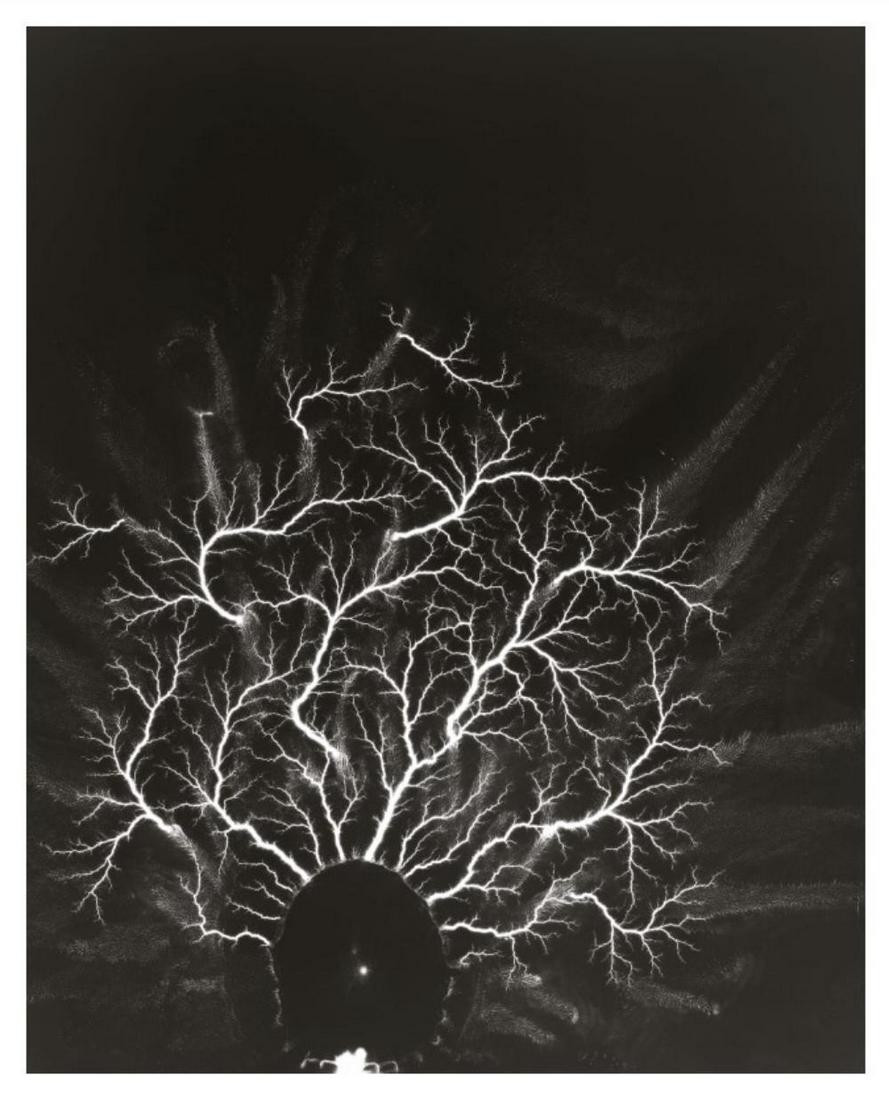 Hiroshi Sugimoto, Talbotized-008, 2012, Limited edition of 360: Photographer: Hiroshi Sugimoto is a contemporary Japanese photographer whose esoteric practice explores memory and time. Using the intrinsic quality of long-exposure photography, the artist provides i