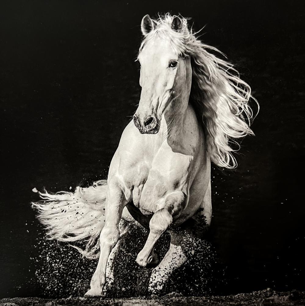 David Yarrow, White Horse, Devon, England, 2020 (1 of 1)