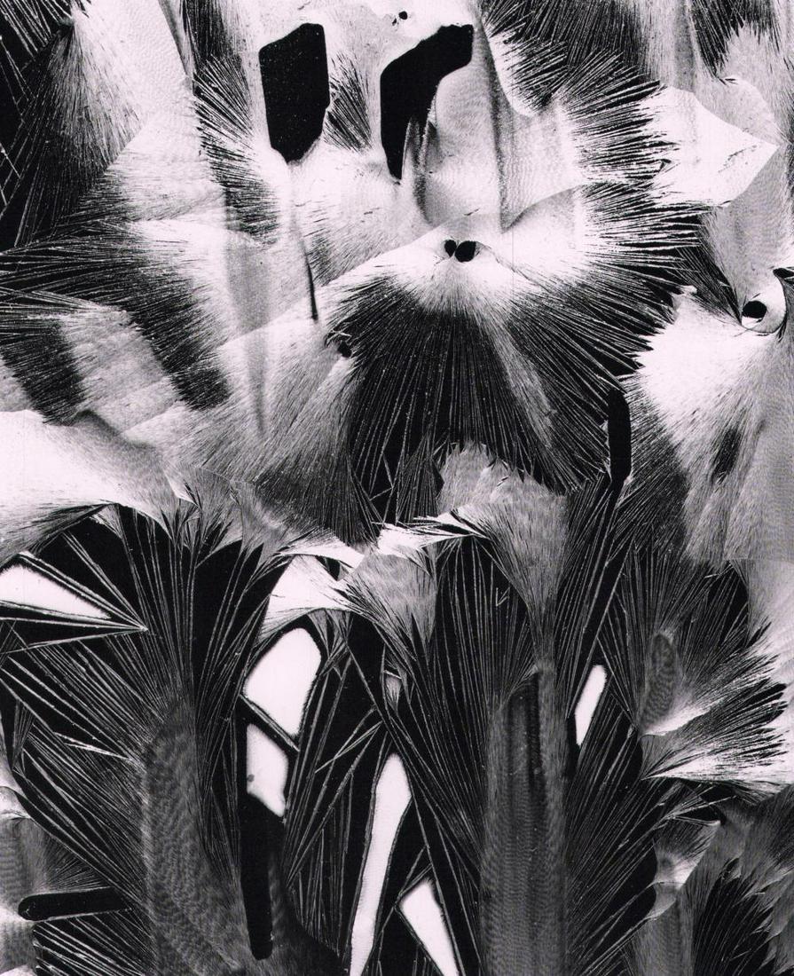 Brett Weston, Master Photographer, Cracked Paint, Garrapata 1955 (1 of 1)