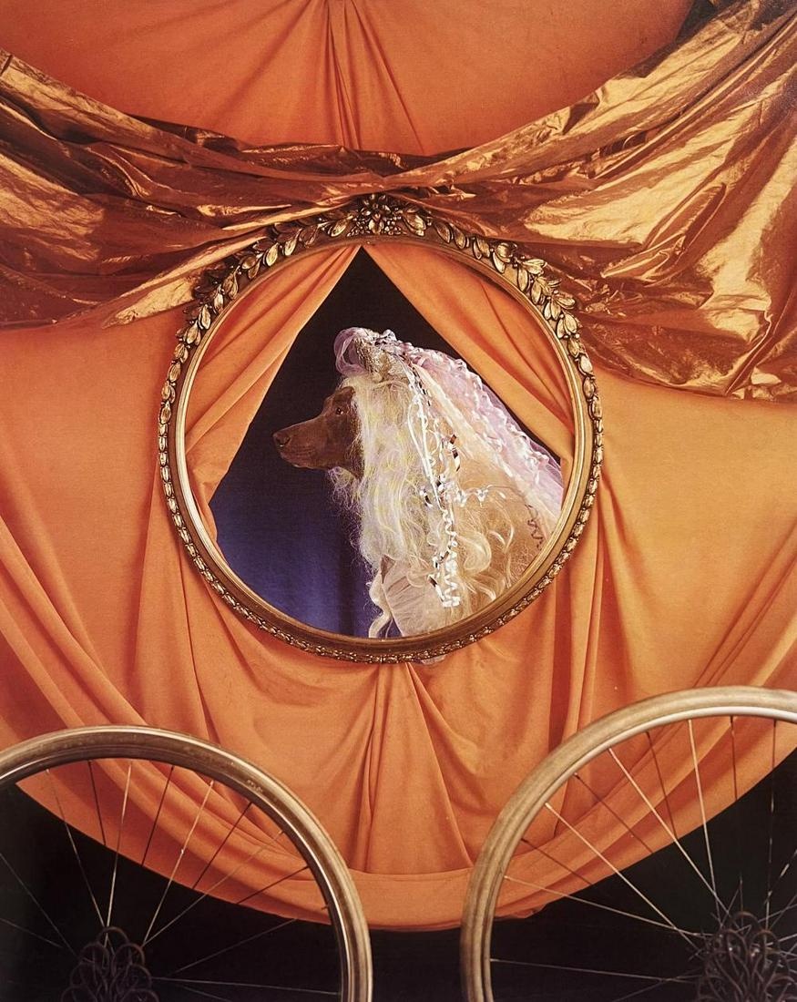 William Wegman, Untitled, 1993: Photographer: William Wegman Subject/Title: Untitled Type Of Print: Photogravure Date Of Print: 1993 Publisher: Library Of Congress Cataloging Approximate Image Size: 10 x 8 inches Mount Board Size Ap