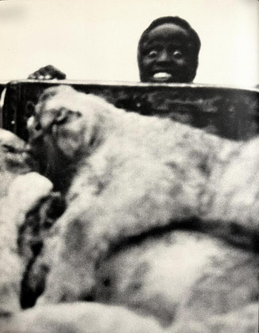 Peter Hill Beard, Three Cattle-Killing Lions And A Delighted Skinner, 1960s: Photographer: Peter Hill Beard (January 22, 1938 – March 31 / April 19, 2020) was an American artist, photographer, diarist, and writer who lived and worked in New York City, Montauk and Kenya. His