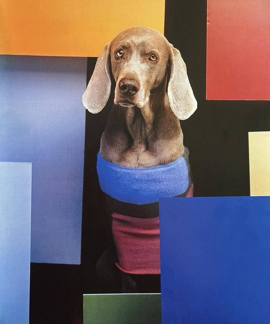 William Wegman, In The Bauhaus, 1999: Photographer: William Wegman Subject/Title: In The Bauhaus Date Of Negative: 1999 Type Of Print: Photogravure Date Of Print: 2010 Print/Platemaker: Abrams Inc. Approximate Image Size: inches Mount Boa