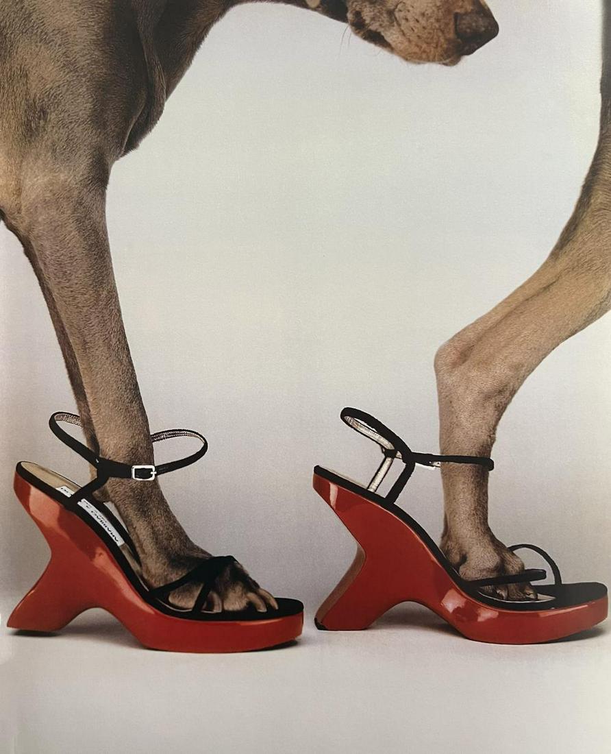 William Wegman, Walk-A-Thon, 1999: Photographer: William Wegman Subject/Title: Walk-A-Thon Date Of Negative: 1999 Type Of Print: Photogravure Date Of Print: 2010 Print/Platemaker: Abrams Inc. Approximate Image Size: 12 x 10 inches Moun