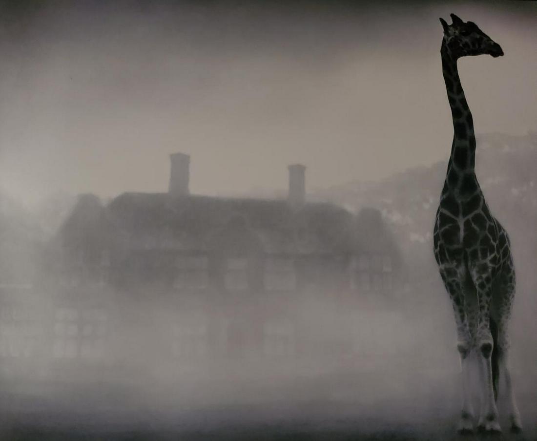 Nick Brandt, Giraffe and Manor, Kenya, 2002: Photographer: Nick Brandt is an English photographer. Brandt's work generally focuses on the rapidly disappearing natural world, as a result of environmental destruction, climate change, and man's act