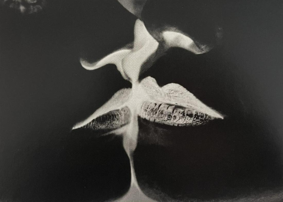 Man Ray, La Baiser (Negative Print), 1935 (1 of 1)