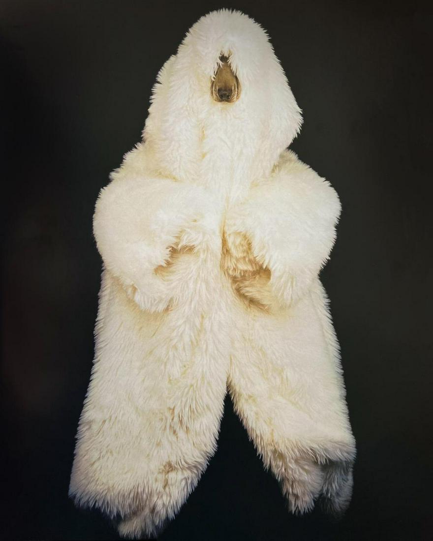 William Wegman, Polar Extreme, 1994 (1 of 1)