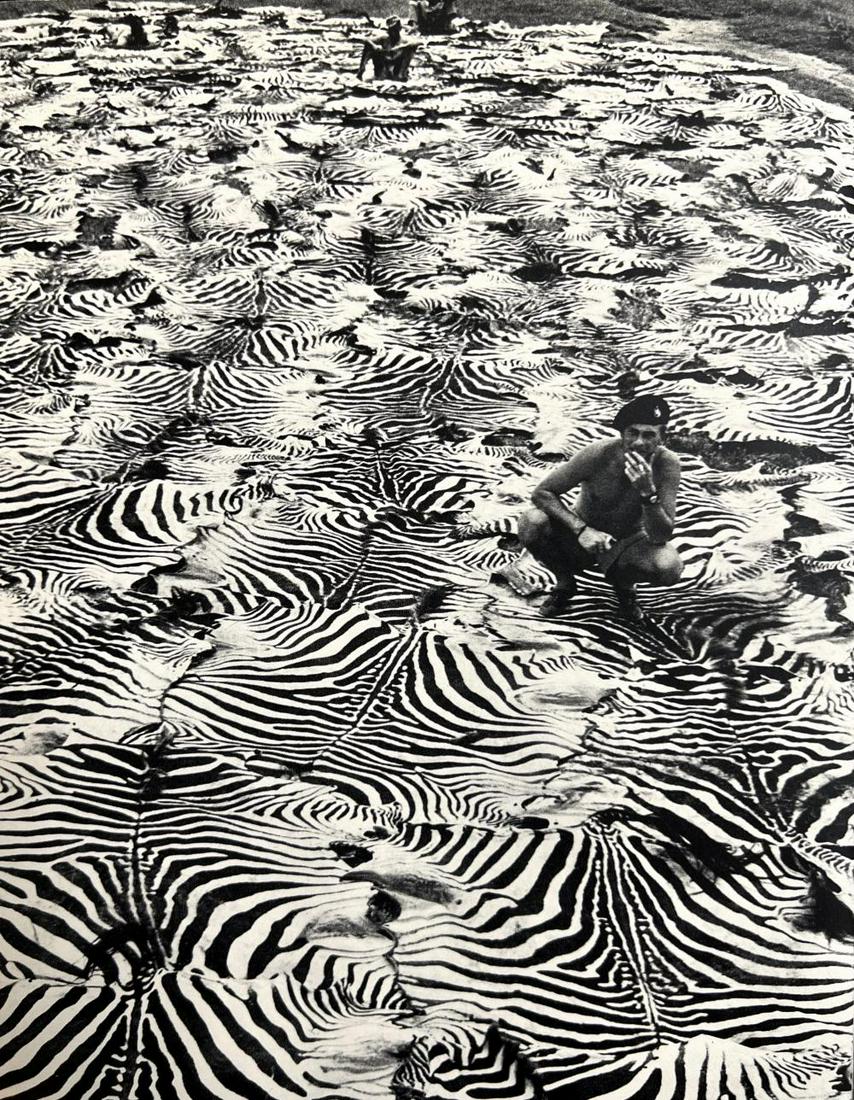 Peter Hill Beard, The Spoils Of Game Control, 1960s: Photographer: Peter Hill Beard (January 22, 1938 – March 31 / April 19, 2020) was an American artist, photographer, diarist, and writer who lived and worked in New York City, Montauk and Kenya. His