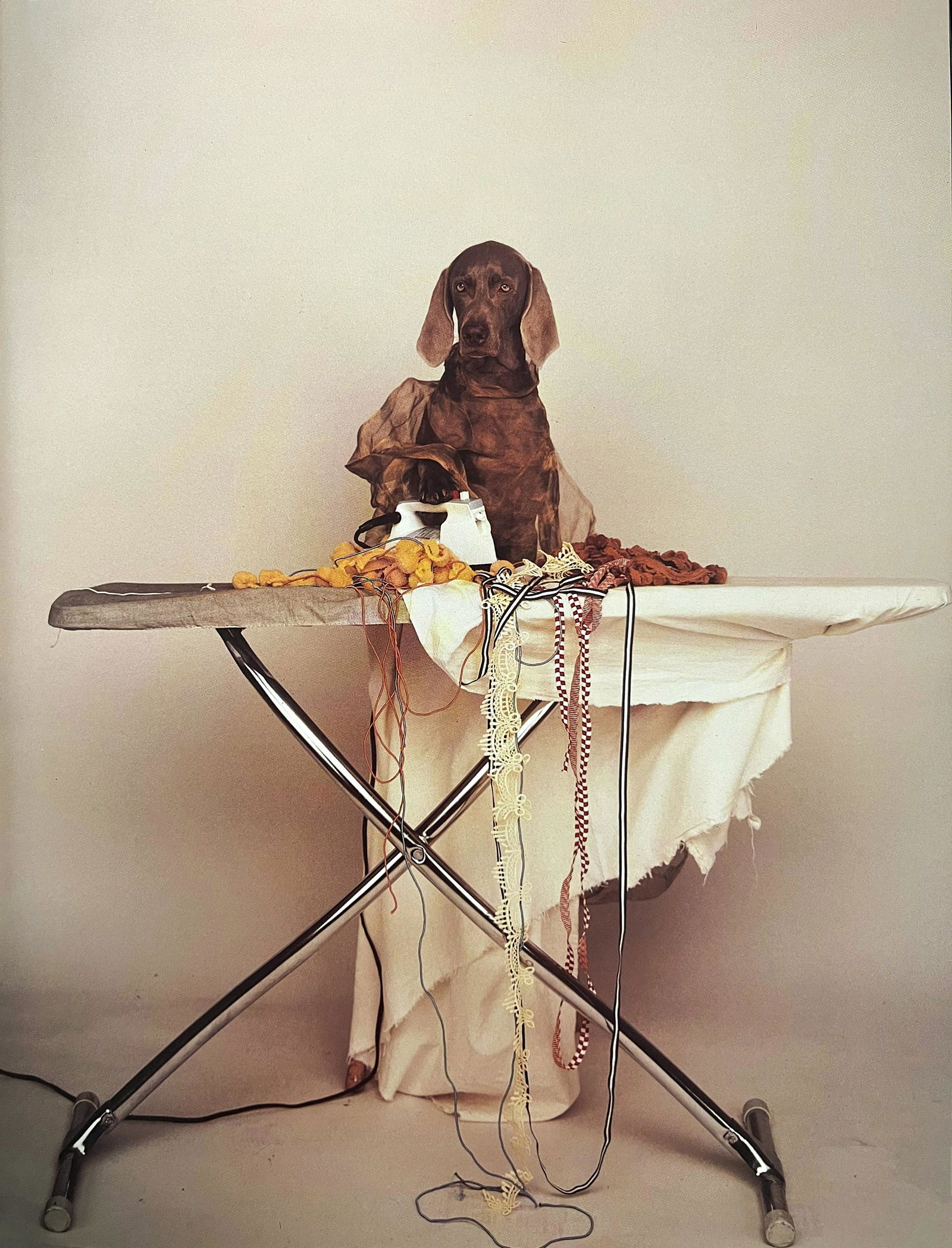 William Wegman, Time To Iron The Clothes (1 of 1)