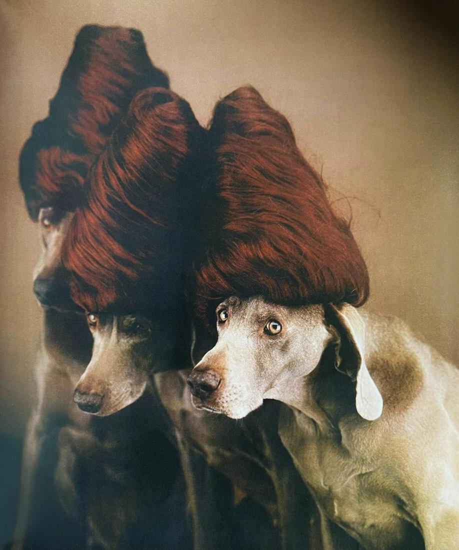 William Wegman, Spin Sisters, 1999 (1 of 1)