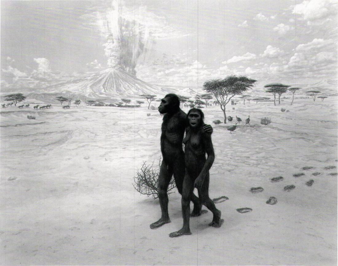 Hiroshi Sugimoto, Earliest Human Relatives, 1994: Photographer: Hiroshi Sugimoto is a contemporary Japanese photographer whose esoteric practice explores memory and time. Using the intrinsic quality of long exposure photography, the artist provides i