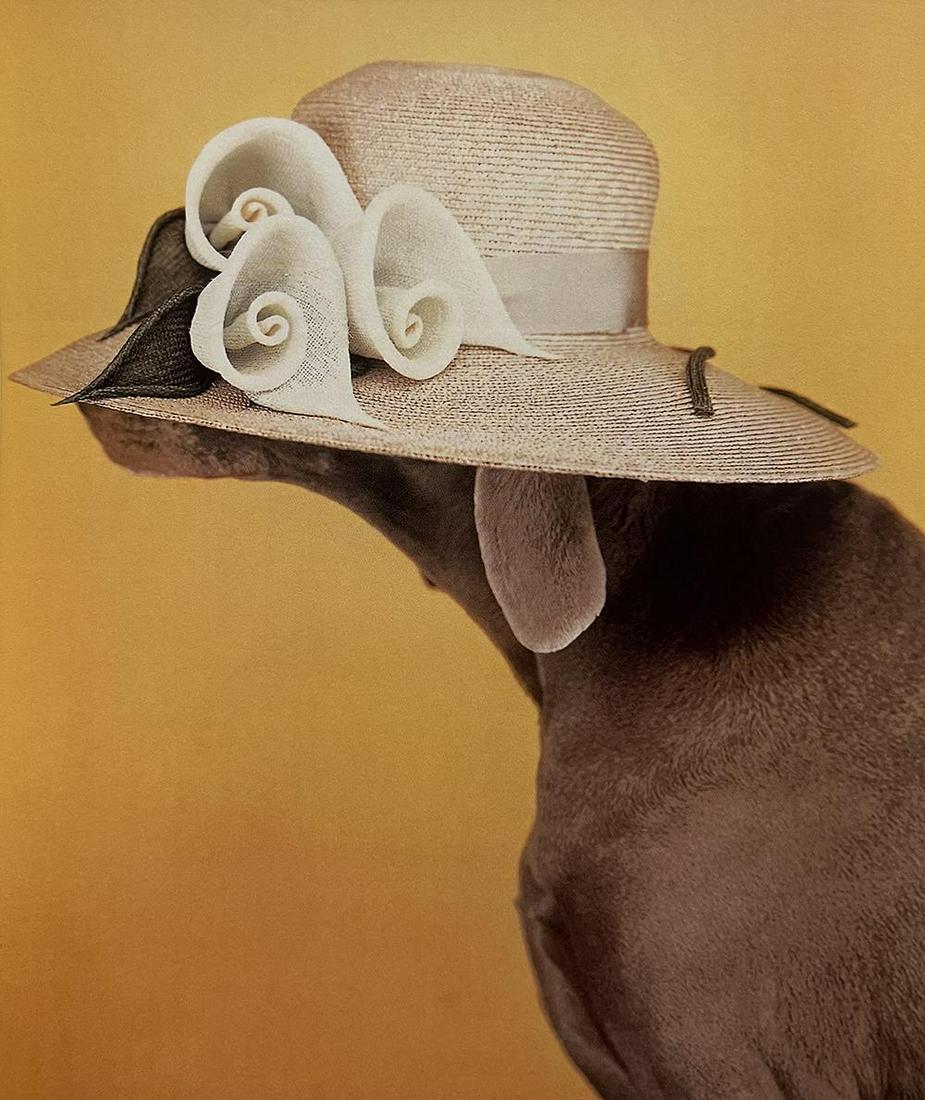 William Wegman, Calla Lily, 1999: Photographer: William Wegman Subject/Title: Calla Lily Date Of Negative: 1999 Type Of Print: Photogravure Date Of Print: 2010 Print/Platemaker: Abrams Inc. Approximate Image Size: inches Mount Board S