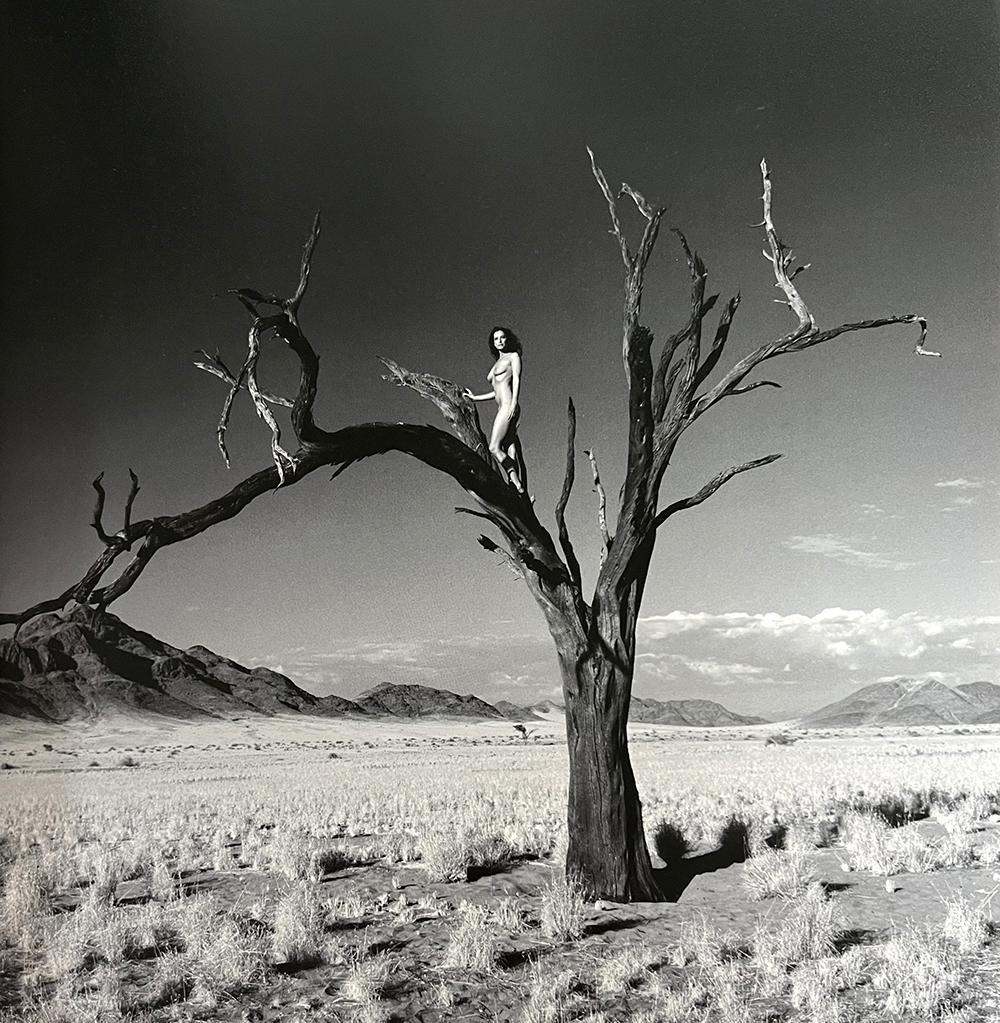 Marc Lagrange, Namib Tree, 2006: Photographer: Marc Lagrange was a Belgian photographer known for his nude portraits of female figures. Lagrange created dream-like and fantastical narrative pictures populated by beautiful nudes that 