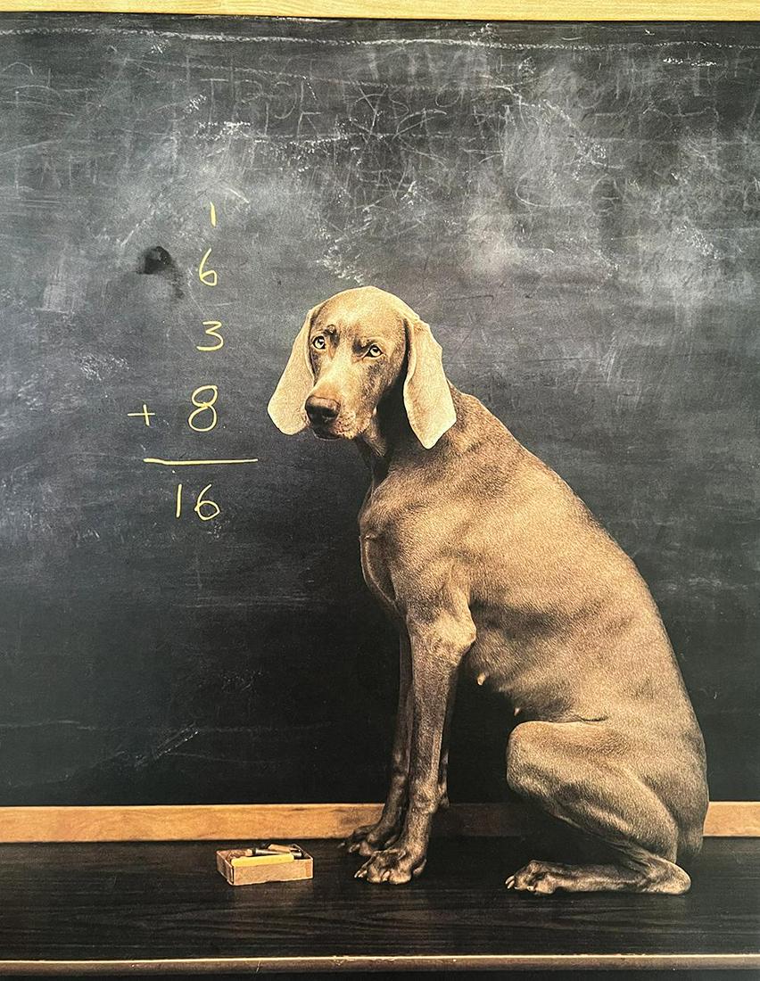 William Wegman, Math: Photographer: William Wegman Subject/Title: Math Type Of Print: Photogravure Date Of Print: 1994 Publisher: Library Of Congress Cataloging Approximate Image Size: 11 x 8 inches Mount Board Size Approx
