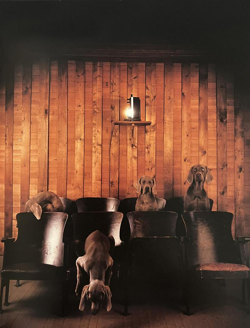 William Wegman, Untitled: Photographer: William Wegman Subject/Title: Untitled Type Of Print: Photogravure Date Of Print: 1994 Publisher: Library Of Congress Cataloging Approximate Image Size: 11 x 8 inches Mount Board Size Ap