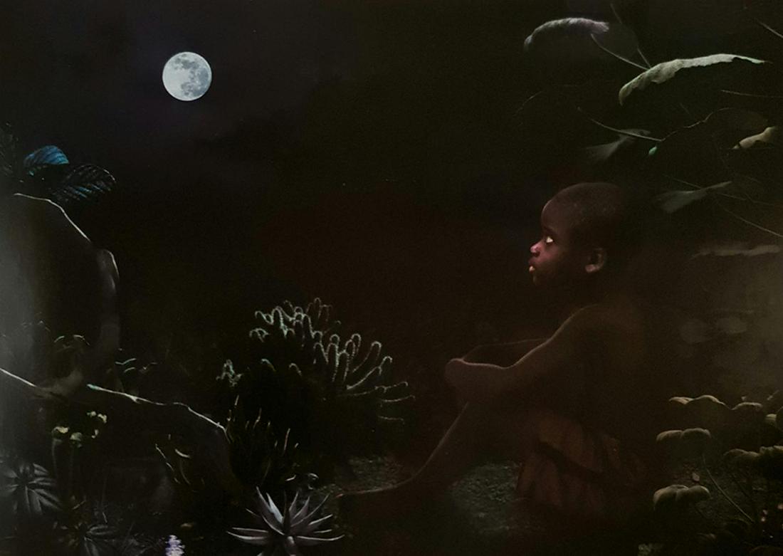 Ruud Van Empel, Moon#6, 2008 (1 of 1)