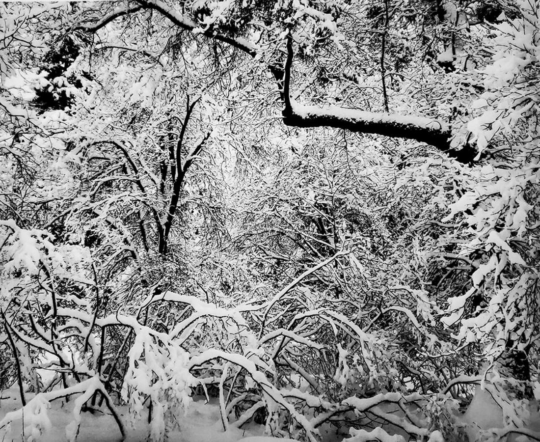 Ansel Adams, Fresh Snow, Yosemite National Park, California, C. 1947 (1 of 1)