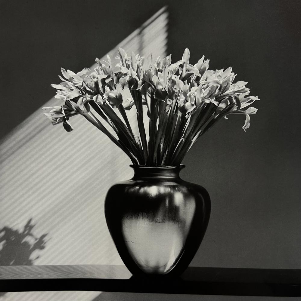 Robert Mapplethorpe, Irises, 1986 (1 of 1)