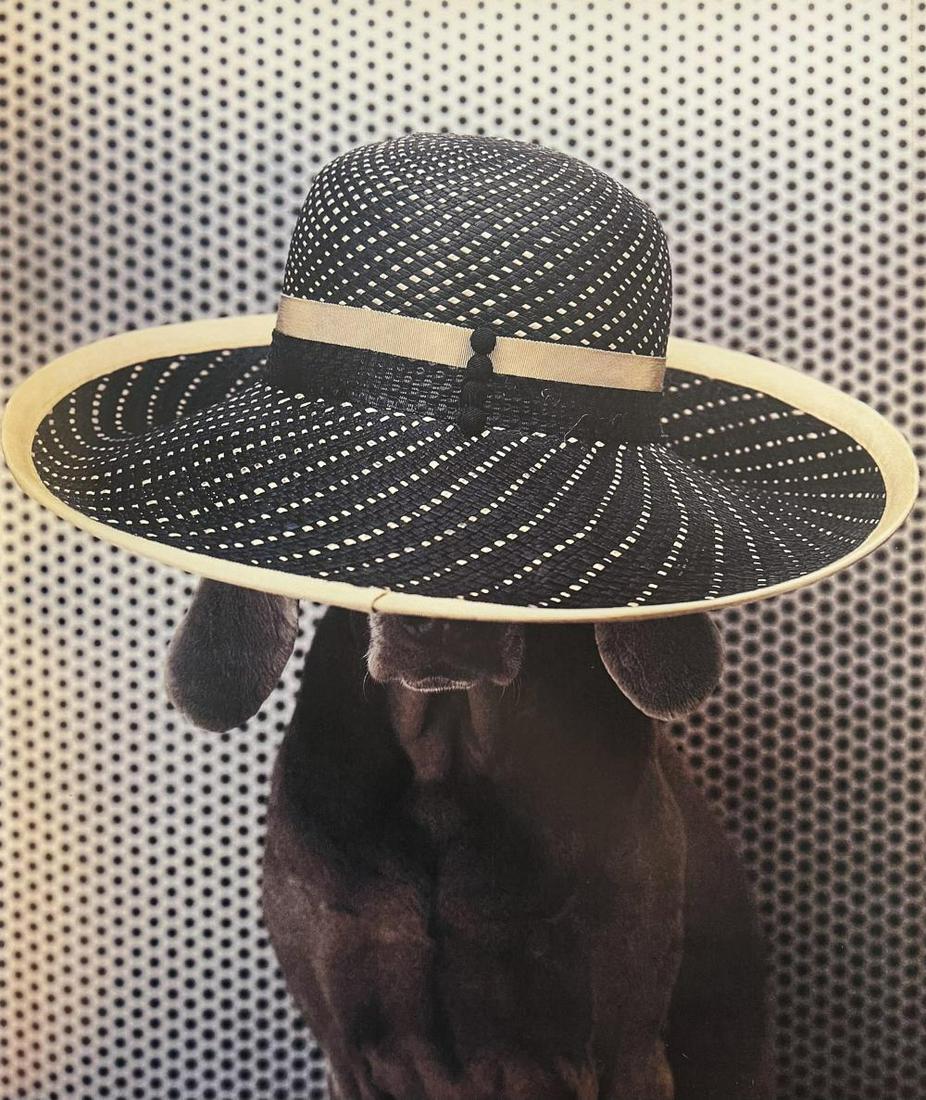 William Wegman, Ben Day, 1999 (1 of 1)