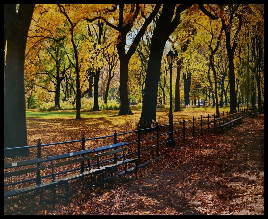 Peter Lik, Fall In The Park, New York, 2015, Auction