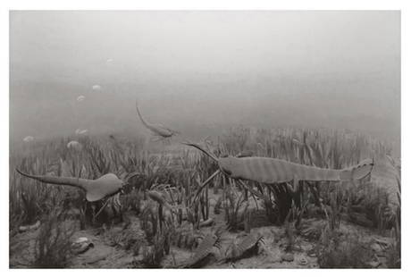 Hiroshi Sugimoto, Silurian Period, 1992, Limited Edition Of 360: Photographer: Hiroshi Sugimoto is a contemporary Japanese photographer whose esoteric practice explores memory and time. Using the intrinsic quality of long exposure photography, the artist provides i