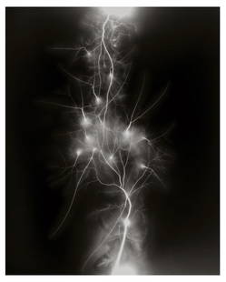 Hiroshi Sugimoto, Lightning Fields-011, 2007, Limited Edition Of 362: Photographer: Hiroshi Sugimoto is a contemporary Japanese photographer whose esoteric practice explores memory and time. Using the intrinsic quality of long exposure photography, the artist provides i