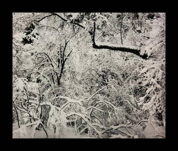 Ansel Adams, Fresh Snow, Yosemite National Park, California, C. 1947: Photographer: Ansel Adams (American, 1902 - 1984) - Internationally renowned American photographer. One of the most influential artists in photographic history. Title: "Fresh Snow, Yosemite National P