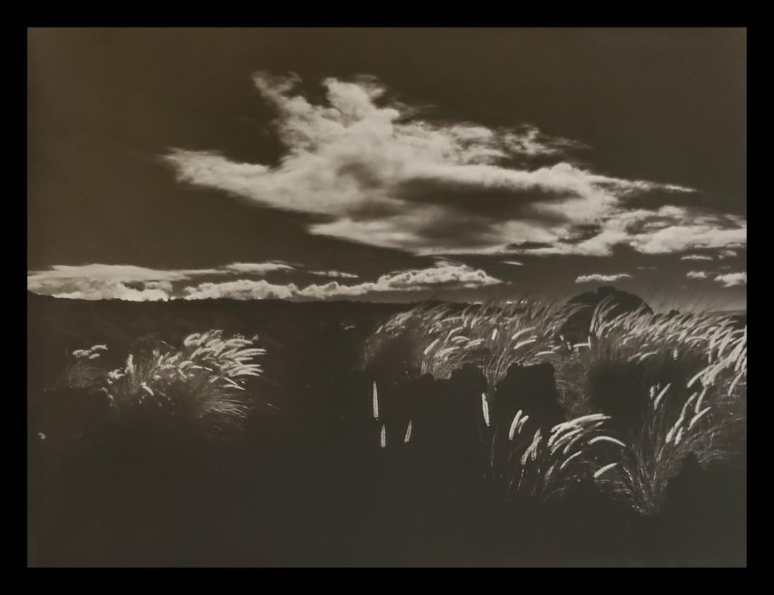 Brett Weston, Parker Ranch 1987 (1 of 1)