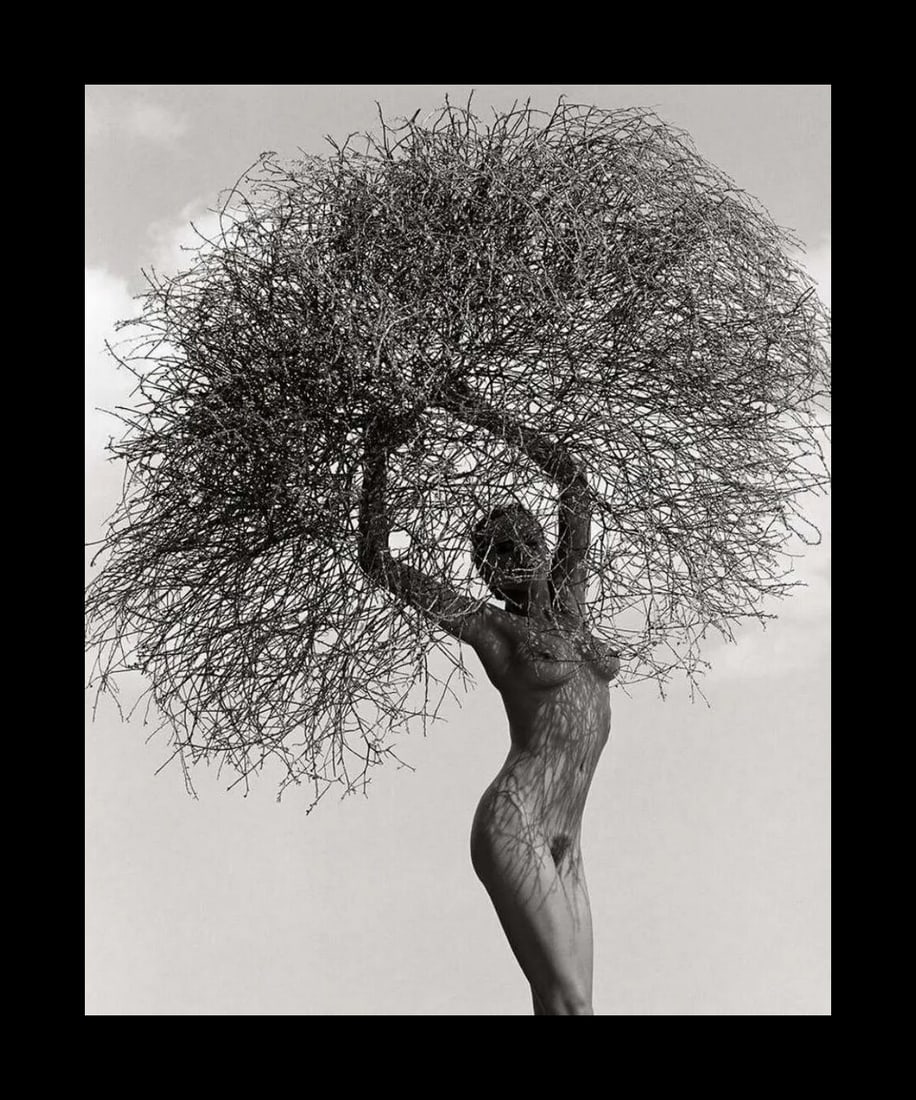 Herb Ritts - Neith with tumbleweed, Paradise cove, 1986: Photographer: Herbert "Herb" Ritts (American, 1952 - 2002) - renowned fashion, art and celebrity photographer. Title: Neith with tumbleweed, Paradise cove Date Of Negative: 1986 Type Of Print: Fine Du