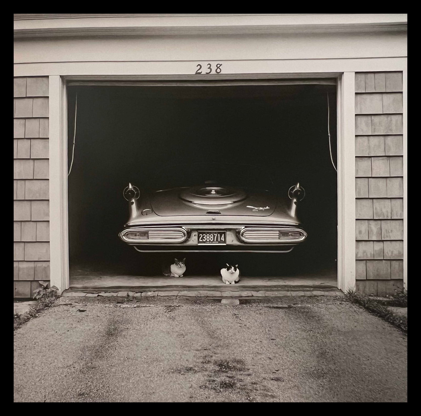 Vivian Maier, Chicago, July, 1957 (1 of 1)