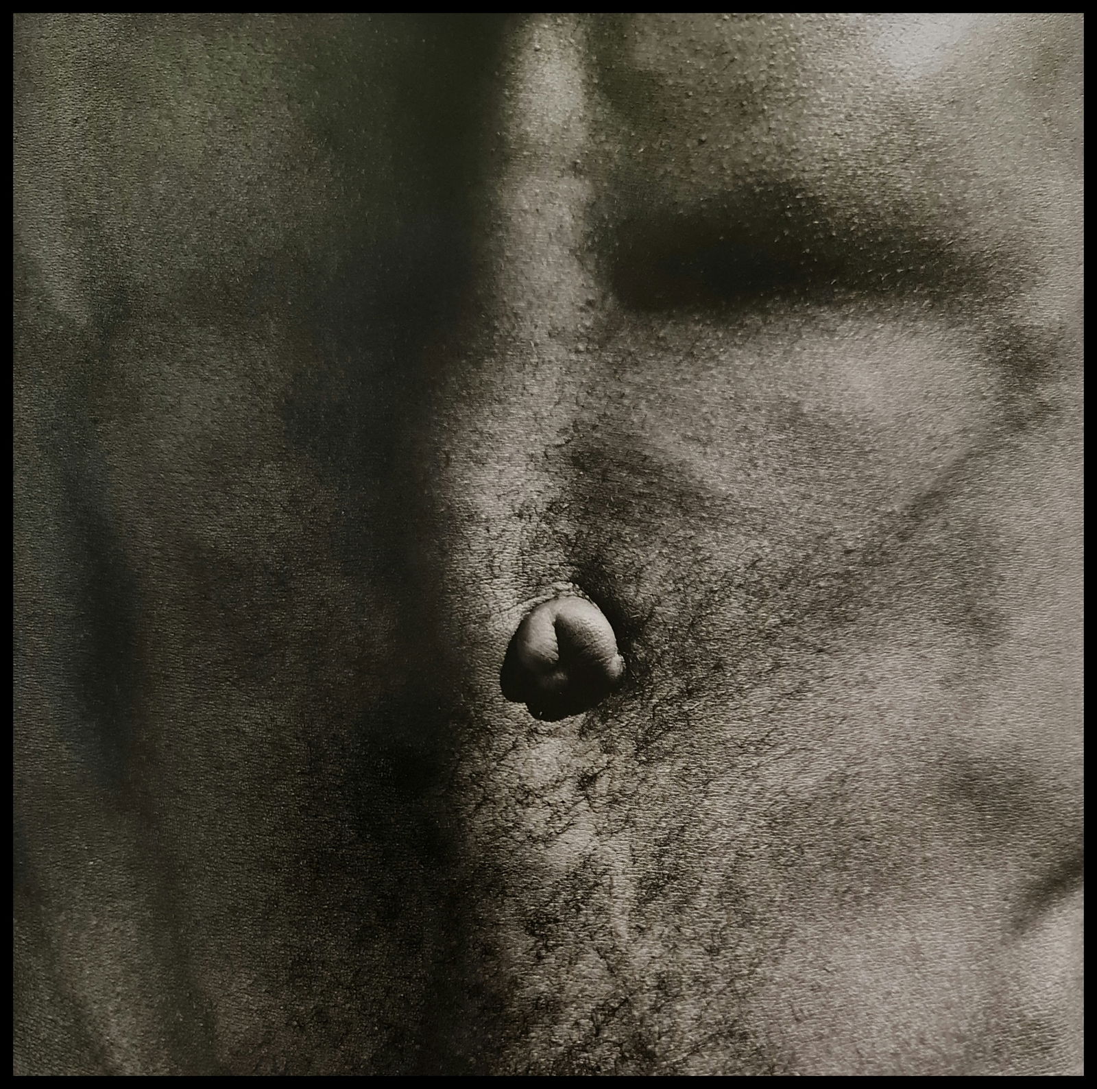 Robert Mapplethorpe, Belly Button, 1986: Photographer: Robert Michael Mapplethorpe (1946-1989) was an American photographer, best known for his black-and-white photographs. His work featured an array of subjects, including celebrity portrait