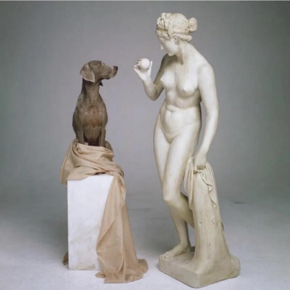 WILLIAM WEGMAN "ON BASE 2007" SIGNED LIMITED EDITION PHOTO (1 of 2)