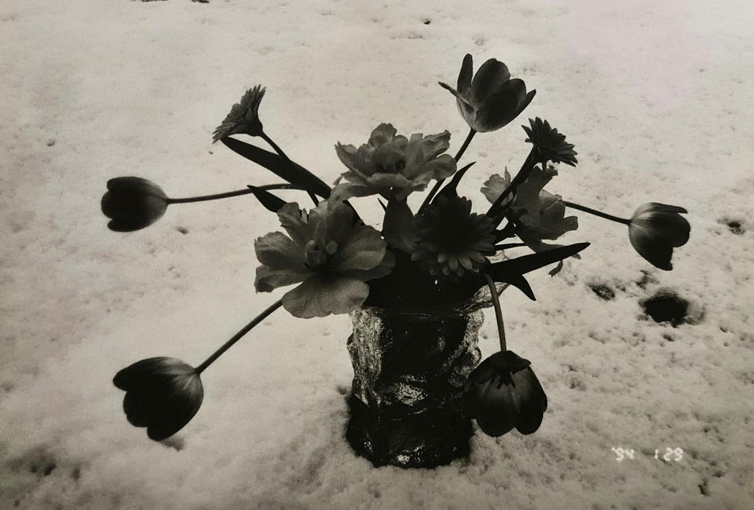 Nobuyoshi Araki, Untiteld, 1994: Photographer:Nobuyoshi Araki Title: Untiteld Date Of Negative: 1994 Type Of Print: Authentic Duotone Photo Engraving Date Of Print: 1995 Print/Platemaker: Contrejour Approximate Image Size Inches: 8 x