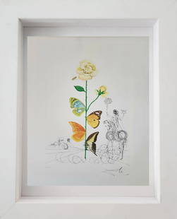 Salvador Dalí "Rosa Papilio from Flordali - Flora Dalinae 1968": ARTIST: Salvador Dali TITLE: Rosa Papilio from Flordali - Flora Dalinae MEDIUM: etching and pochoir SIGNED: Hand Signed & numbered in pencil by the artist EDITION NUMBER: 45/200 MEASUREMENTS: 58.5 x