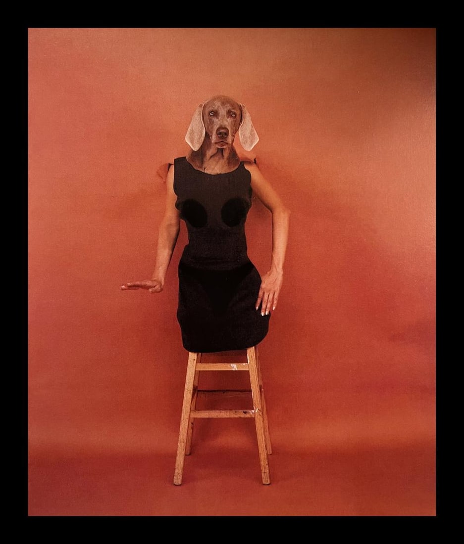 William Wegman, Ben Day, 1999 (1 of 1)