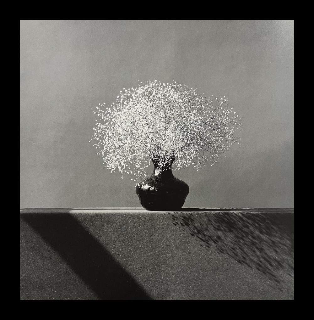 Robert Mapplethorpe, Baby's Breath, 1982 (1 of 1)