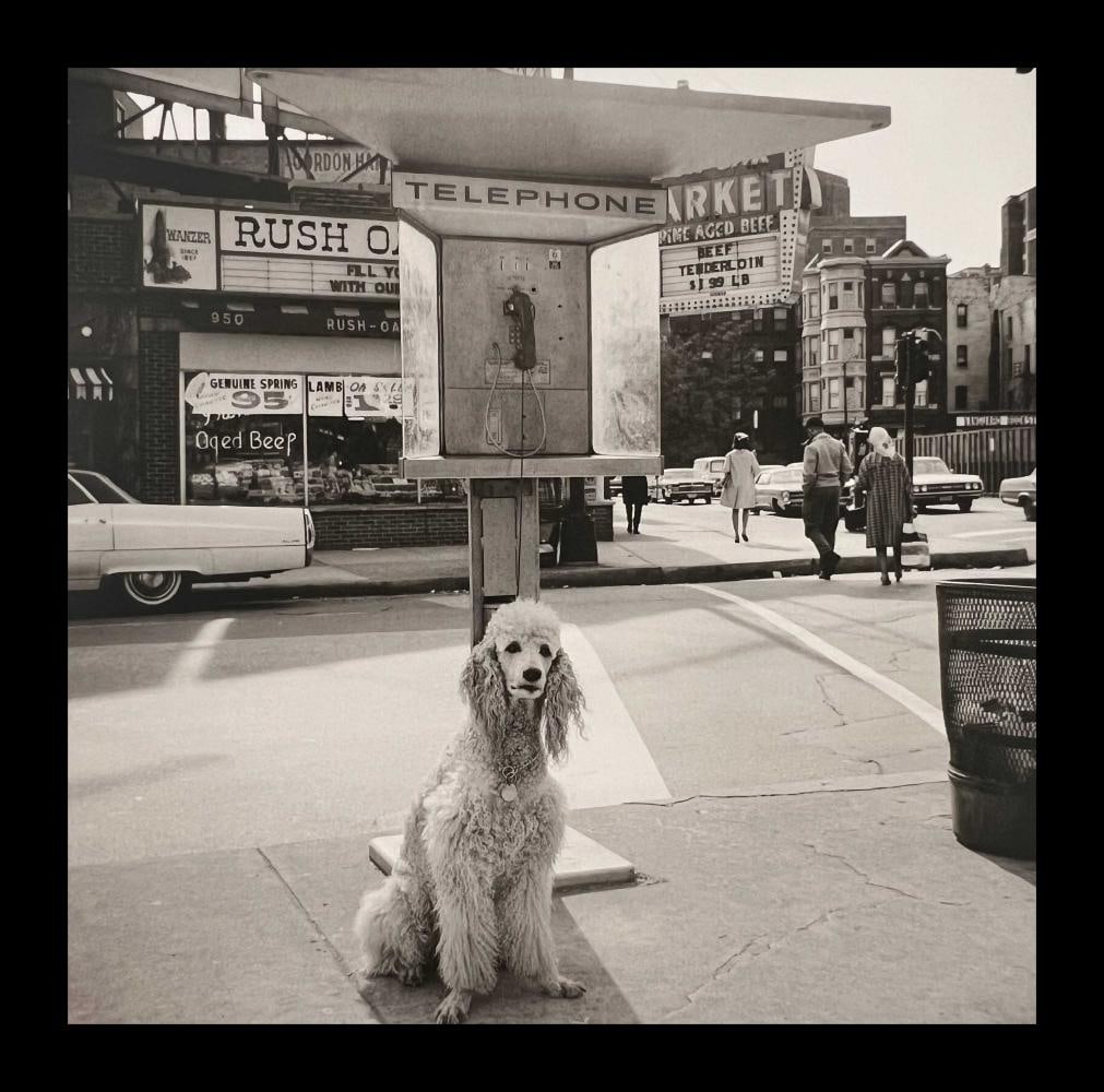 Vivian Maier, Chicago, C.1960: Photographer: Vivian Dorothy Maier, (1926-2009) was an American street photographer whose work was discovered and recognized after her death. She worked for about 40 years as a nanny, mostly in Chicag