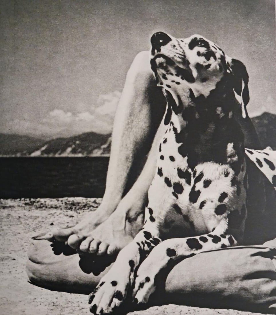 Herbert List, Portofino, Italy, 1936: Title: Herbert List, Portofino, Italy, 1936 Type: Sheet-Fed Photogravures Year: 1988 Publisher: Twin Palms Publishers Size: 9.5" x 8" Print Origin: Japan Condition: Excellent