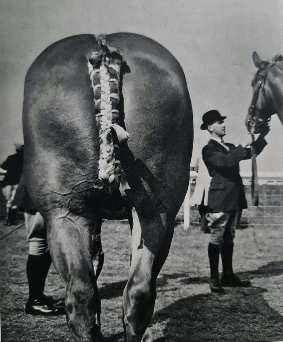 Brassai, The Royal Show, England, 1959: Photographer: Brassa? (pseudonym of Gyula Halász, 1899 – 1984) - historically important Hungarian photographer, sculptor and filmmaker who rose to fame in France. Title: The Royal Show, England Typ