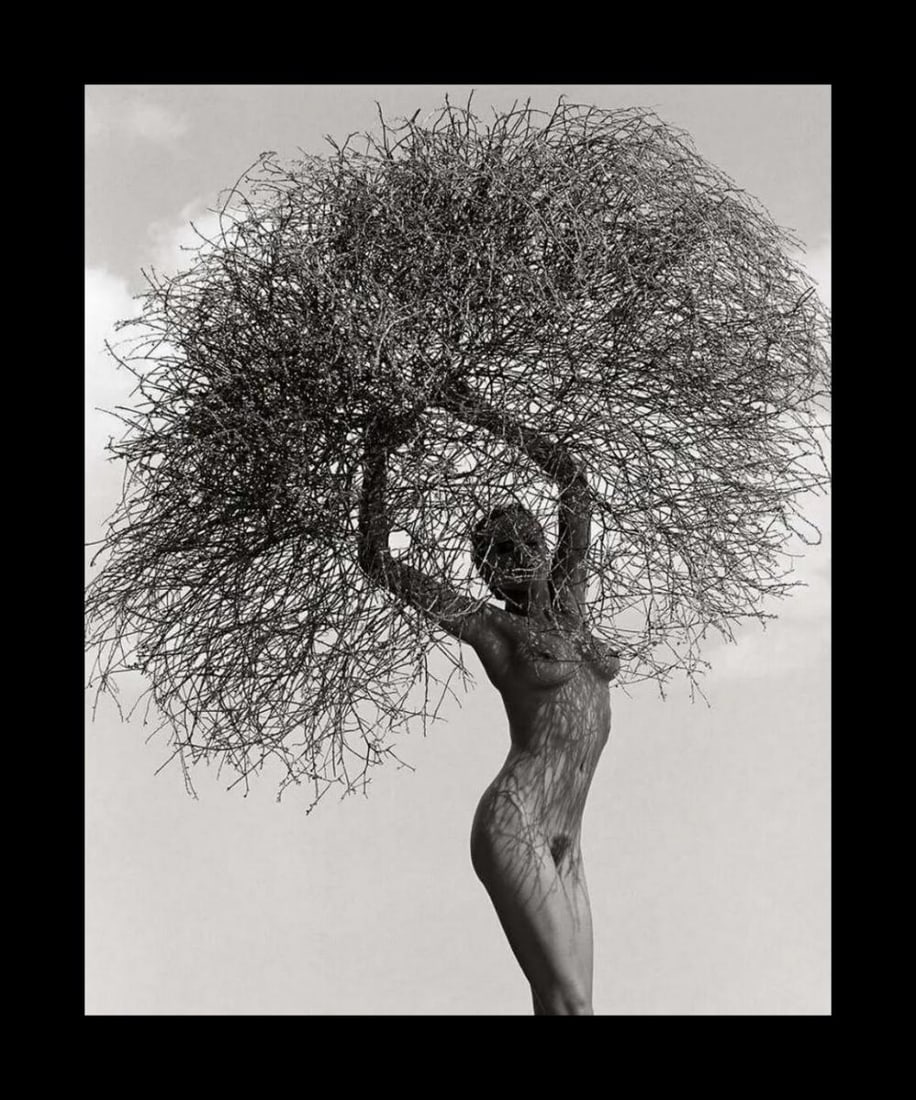 Herb Ritts - Neith with tumbleweed, Paradise cove, 1986: Photographer: Herbert "Herb" Ritts (American, 1952 - 2002) - renowned fashion, art and celebrity photographer. Title: Neith with tumbleweed, Paradise cove Date Of Negative: 1986 Type Of Print: Fine Du