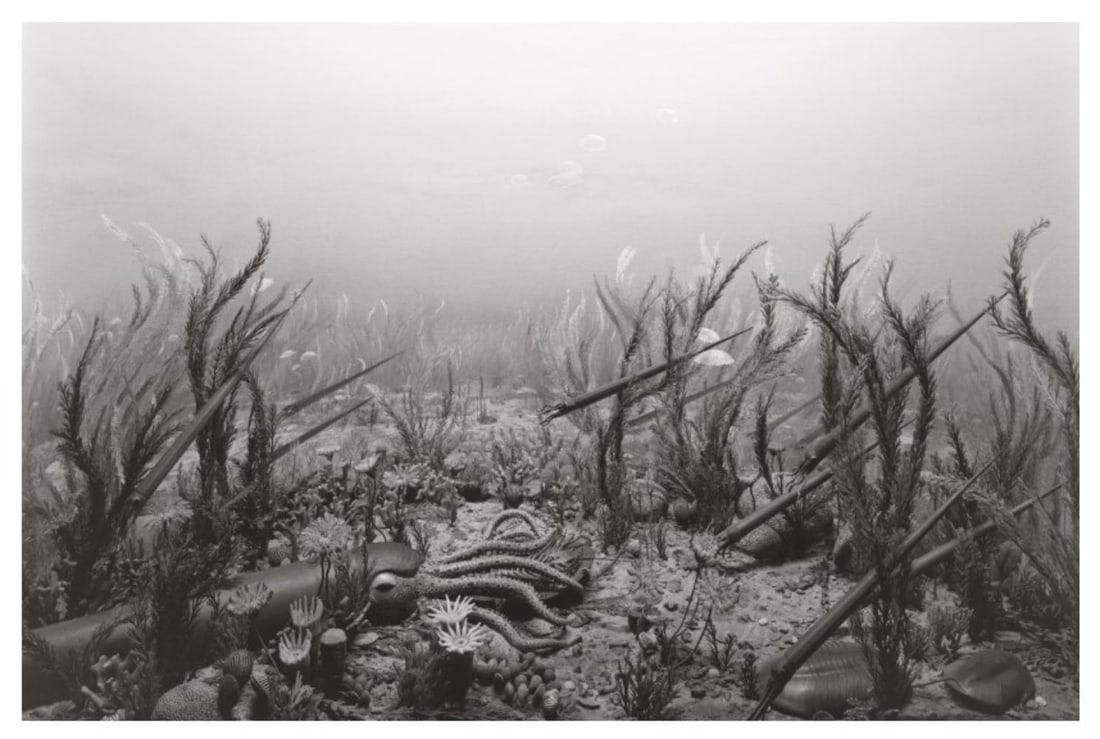 Hiroshi Sugimoto, Ordorician Period, 1992: Description Photographer: Hiroshi Sugimoto is a contemporary Japanese photographer whose esoteric practice explores memory and time. Using the intrinsic quality of long exposure photography, the artis